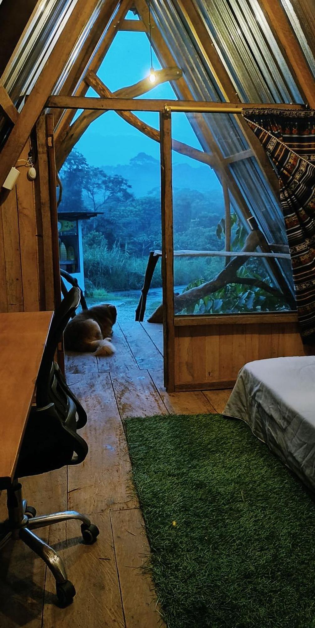 Jungle Roots Hotel Tena Room photo